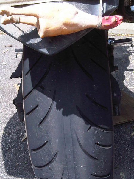 IMG00080-20120513-1444-XL.jpg