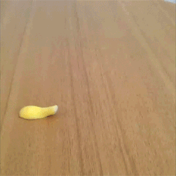 25-daily-gifdump-127.gif