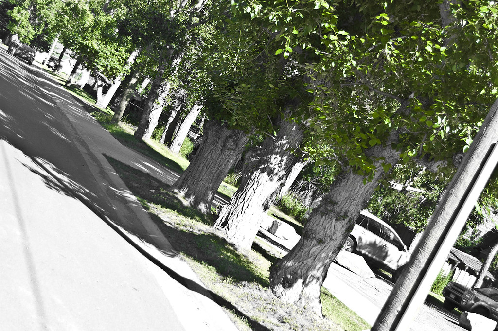 6927028228_0cecd53bb9_b.jpg