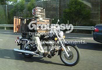 BBQ-rider-Herald-Sun-5870174.jpg