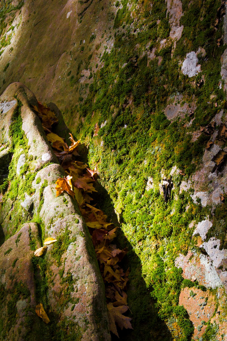 fall_2011_by_bryanwny-d665k2n.jpg