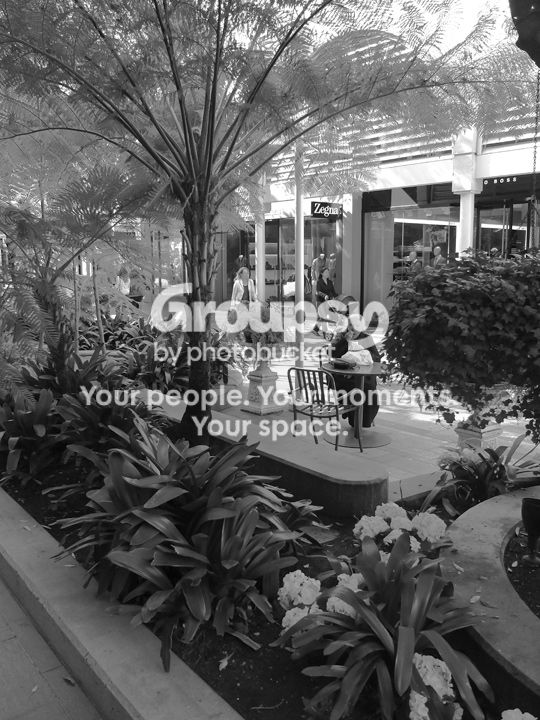 PA-Lunch_web_zps418b40b0.jpg