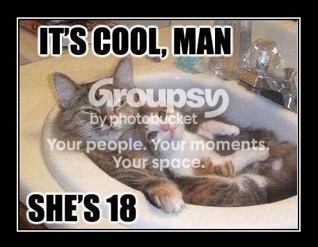 18Kats_zps24679df2.jpg