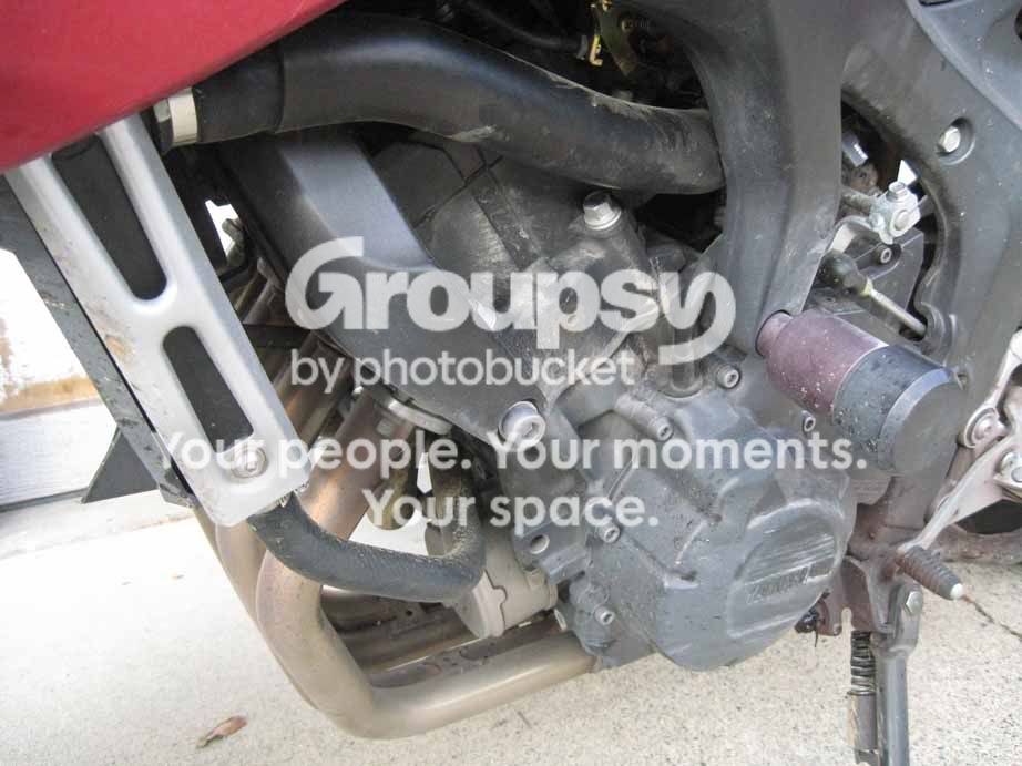 IMG_4174.jpg