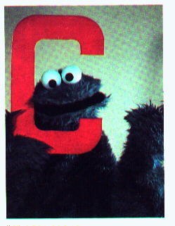 C-is-for-Cookie-Monster-sesame-street-22339421-249-321.jpg